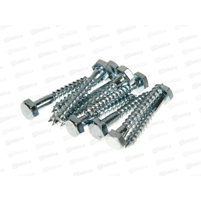 Шуруп сантехнический 10*70 (10шт)