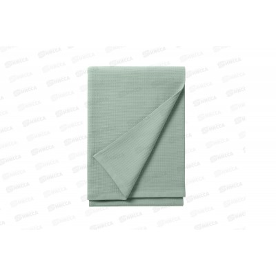 Простыня В.Н. 200*180 Вафля+ровное полотно С003/0920 01 Полынь