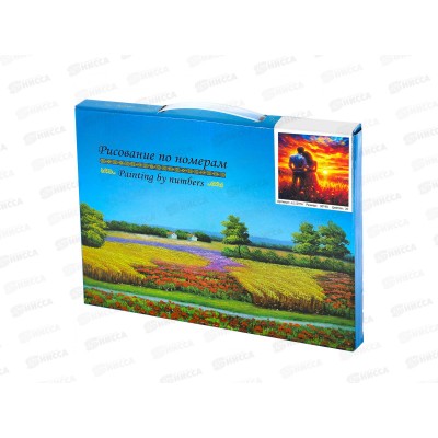 Картина по номерам 30*40 Влюбленная пара  АL12976*30