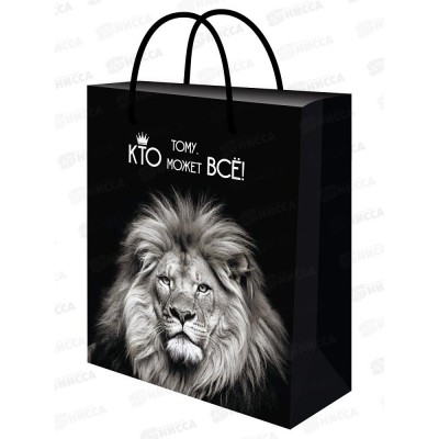 Пакет подарочный MI 26,4х32,7х8см Царь, ППК-7860 *12