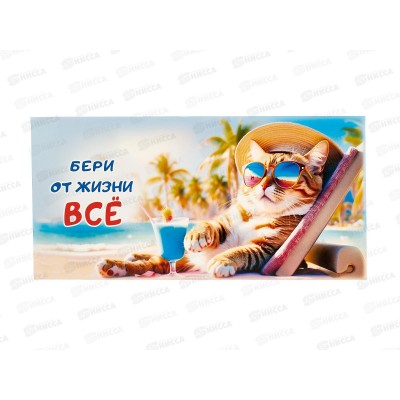 Конверт д/денег ПГС 16,5*8см Бери от жизни все! *10
