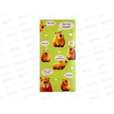 Конверт АД 1216.609 Капибары Конверт АД 1216.609 Капибары