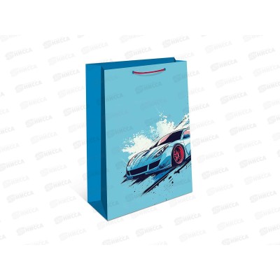 Пакет подарочный АД 18*22,3 1192.005