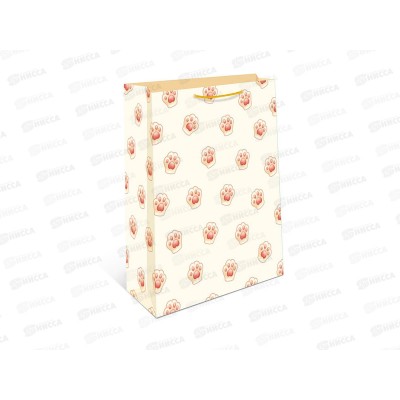 Пакет подарочный АД 18*22,3 1192.054