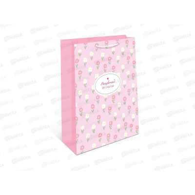 Пакет подарочный АД 18*22,3 1192.057