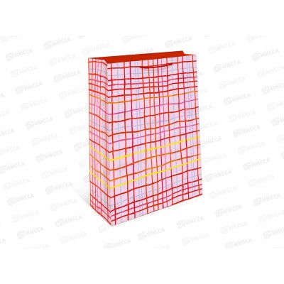 Пакет подарочный АД 18*22,3 1192.062