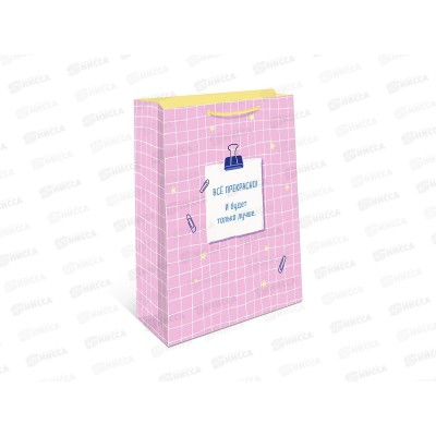 Пакет подарочный АД 18*22,3 1192.114