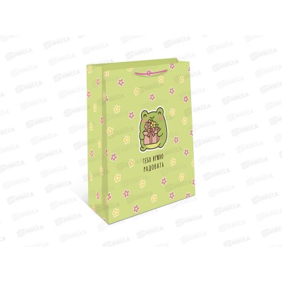 Пакет подарочный АД 18*22,3 1192.120