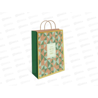 Пакет подарочный АД 18*22,3 Крафт 0397.709