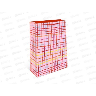 Пакет подарочный АД 11,5*14,5 1191.062