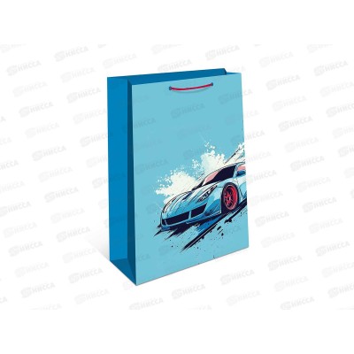 Пакет подарочный АД 33*42,5 1195.005