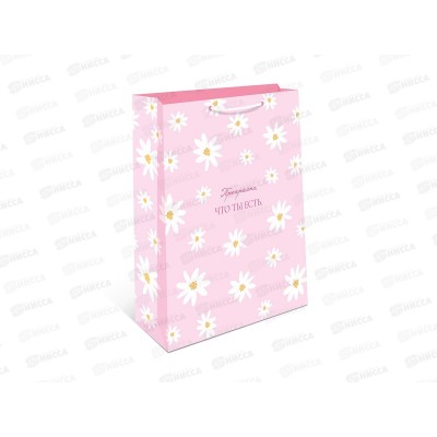 Пакет подарочный АД 33*42,5 1195.072