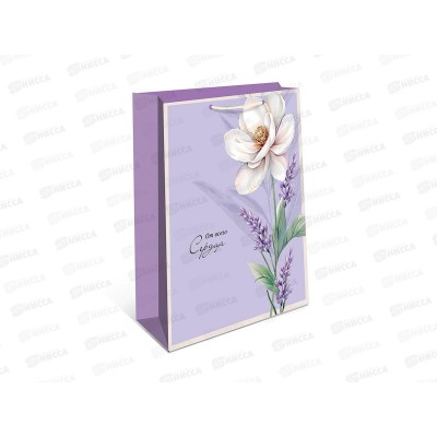 Пакет подарочный АД 26*32 0193.930