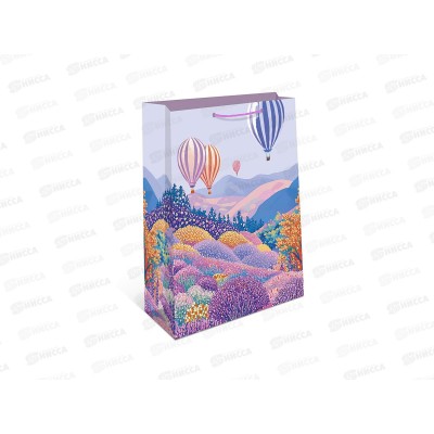 Пакет подарочный АД 26*32 0193.972