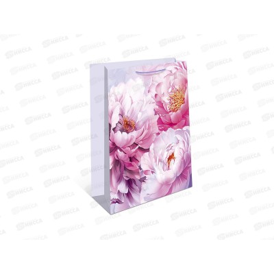 Пакет подарочный АД 26*32 0193.977