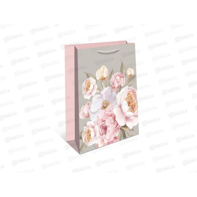 Пакет подарочный АД 26*32 0193.990