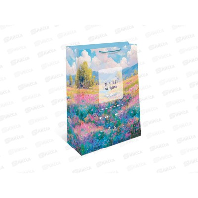 Пакет подарочный АД 26*32 1193.050