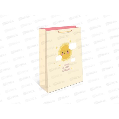 Пакет подарочный АД 26*32 1193.122