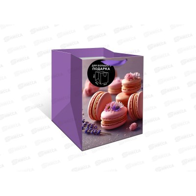 Пакет подарочный АД 25*30*25 Стандарт плюс 2324.109