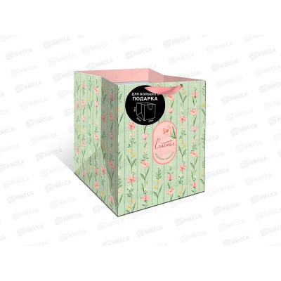 Пакет подарочный АД 25*30*25 Стандарт плюс 2324.110