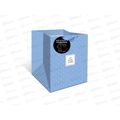 Пакет подарочный АД 25*30*25 Стандарт плюс 2324.113