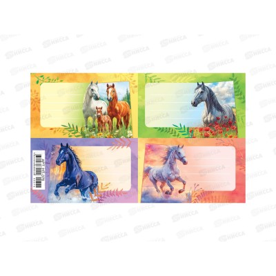 Наклейка на тетрадь  ЛиС Лошади, НТ-376 *20
