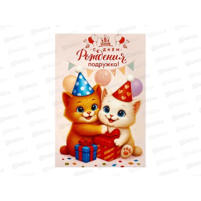 Открытка ЛиС А5 С Днём Рождения, 5.0002318