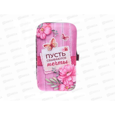 Набор для маникюра &quotПусть мечты сбываются&quot 6пр. в футляре, 545-028