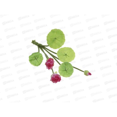 Лотос плавающий для пруда 26см INBLOOM 171-030  г