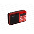 Радиоприемник Perfeo цифровой PALM Next FM 87.5-108МГц, MP3, Bluetooth 5.3, USB или 18650, красный, PF_D0565