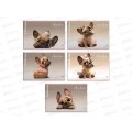 Альбом д/рис.24л EK Frenchie, на скобе 63446 *8/32 Альбом д/рис.24л EK Frenchie, на скобе 63446 *8/32