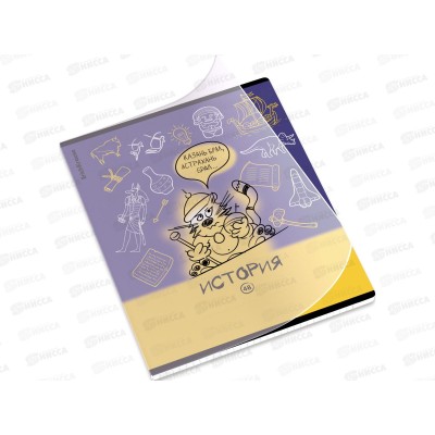Тетрадь 48л кл. ПОЛИ Котоформулы История, пласт.обл. 59533 *5/100