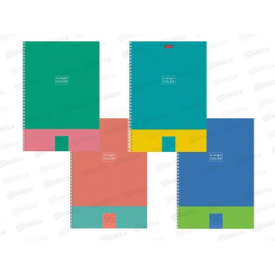 Тетрадь 96л кл. Hatber А4 В ярком цвете греб. 066118 *4/24 Тетрадь 96л кл. Hatber А4 В ярком цвете греб. 066118 *4/24