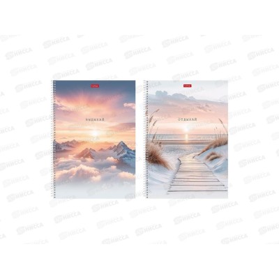 Тетрадь 96л кл. Hatber А4 В моменте. греб. 093591  *2/24