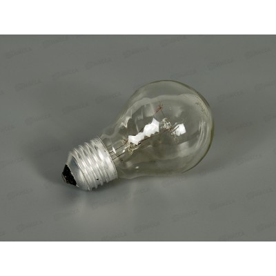 Эл.ламп.  95 Вт ЭРА E27 А55 прозрачная, цветная коробка *10/100