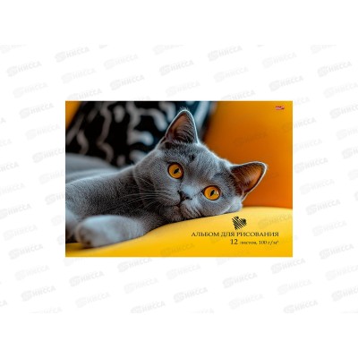 Альбом для рисования 12л Profit Серый пушистый котик - 1, 12-7247 Альбом для рисования 12л Profit Серый пушистый котик - 1, 12-7247
