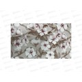 Клеенка Grace ткань с полиуретановым покрытием 1,37*20м SEPU-39B Клеенка Grace ткань с полиуретановым покрытием 1,37*20м SEPU-39B