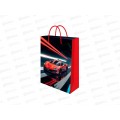Пакет подарочный MI 14х20х6,5см Спорт-авто, ППК-7078  *12