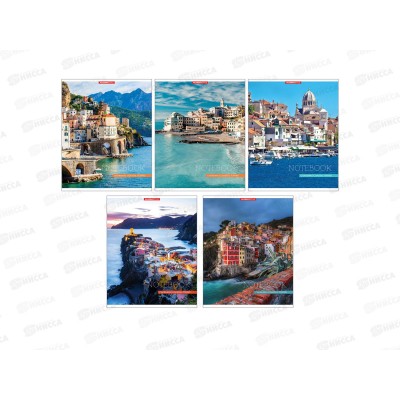 Тетрадь 96л кл. АКАД Огненная пантера, EAC-15194/5 *10/30 Тетрадь 96л кл. АКАД Огненная пантера, EAC-15194/5 *10/30