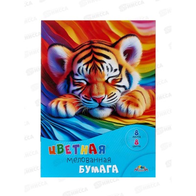 Цветная бум.  8л 8цв Апплика Спящий тигренок,С0163-27*60