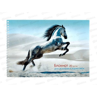 Альбом д/рис.20л ЭКСМ Грациозная лошадь,  БС20181 *60