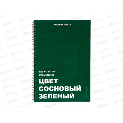 Тетрадь 60л кл. ЭКСМ А4 Pine green ТC4604931*5/40 Тетрадь 60л кл. ЭКСМ А4 Pine green ТC4604931*5/40