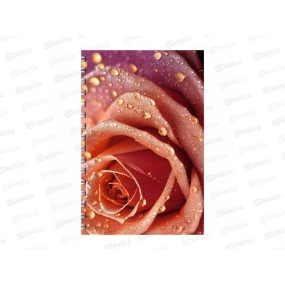 Тетрадь 96л кл. ЭКСМ А4 Роза ТСБ4965195 Тетрадь 96л кл. ЭКСМ А4 Роза ТСБ4965195