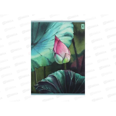 Тетрадь 48л кл. ЭКСМ А4 Водная лилия, Т4485087 *60