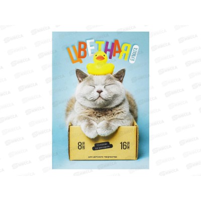 Цветная бум. 16л ФЕН 200*275мм Кот с уткой 73168  *50