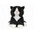 Черно-белый Котик, 20см, МТ-ТS112317-20 MAXITOYS Черно-белый Котик, 20см, МТ-ТS112317-20 MAXITOYS