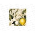 Клеенка Grace ткань с пвх 1,4х20м STS741A 123912