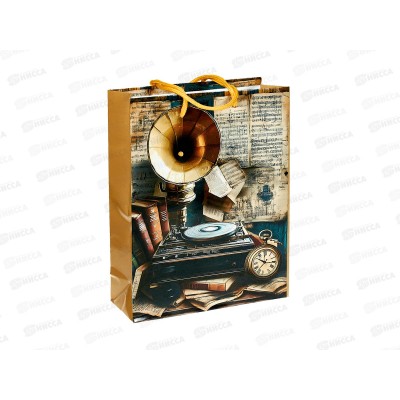 Пакет бумажный 18*24 Мужской Р10738-10 *12