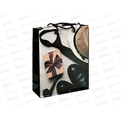 Пакет бумажный 18*24 Мужской Р10738-11 *12