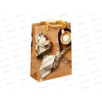 Пакет бумажный 18*24 Мужской Р10738-12 *12